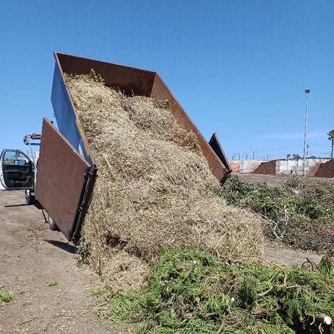 Yard Waste